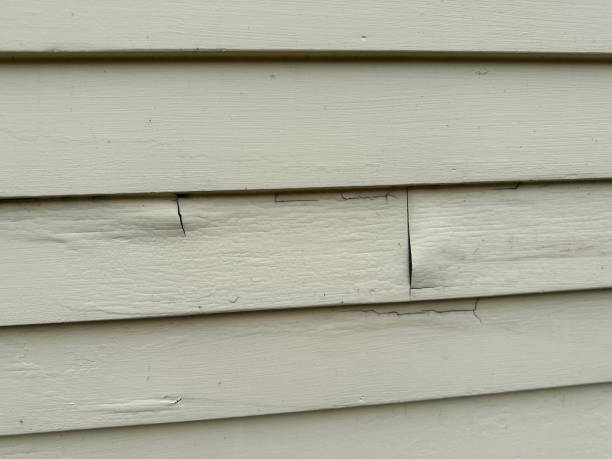 Best Property Management Cleanouts  in Georgetown, OH